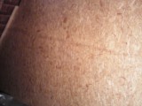 IMG_20150303_155642